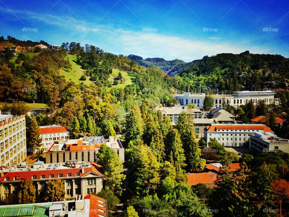 Berkeley Campus. View