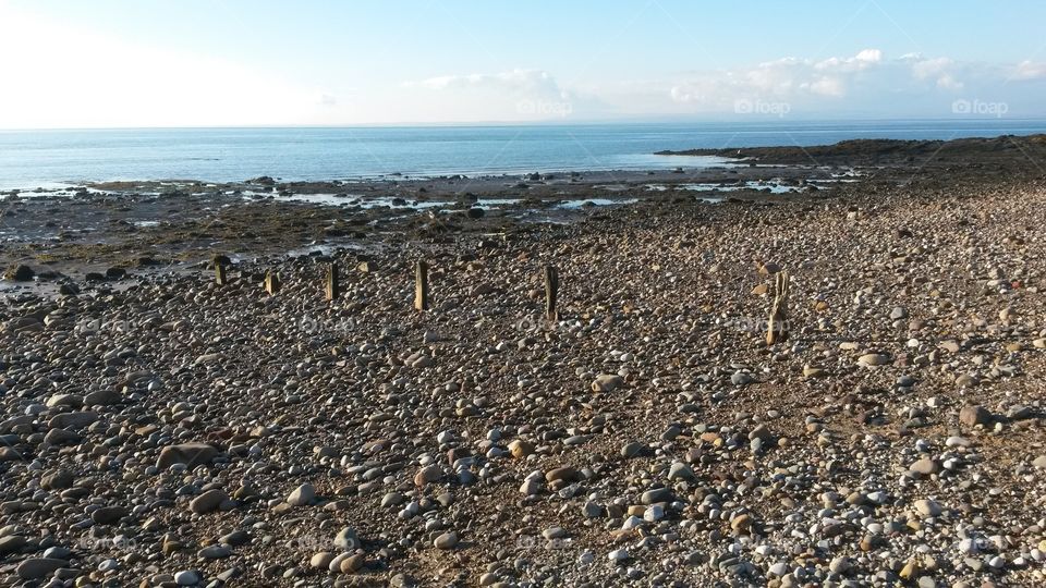 a picture of the beach with the pegs of an old dock's pegs sticking out of the ground