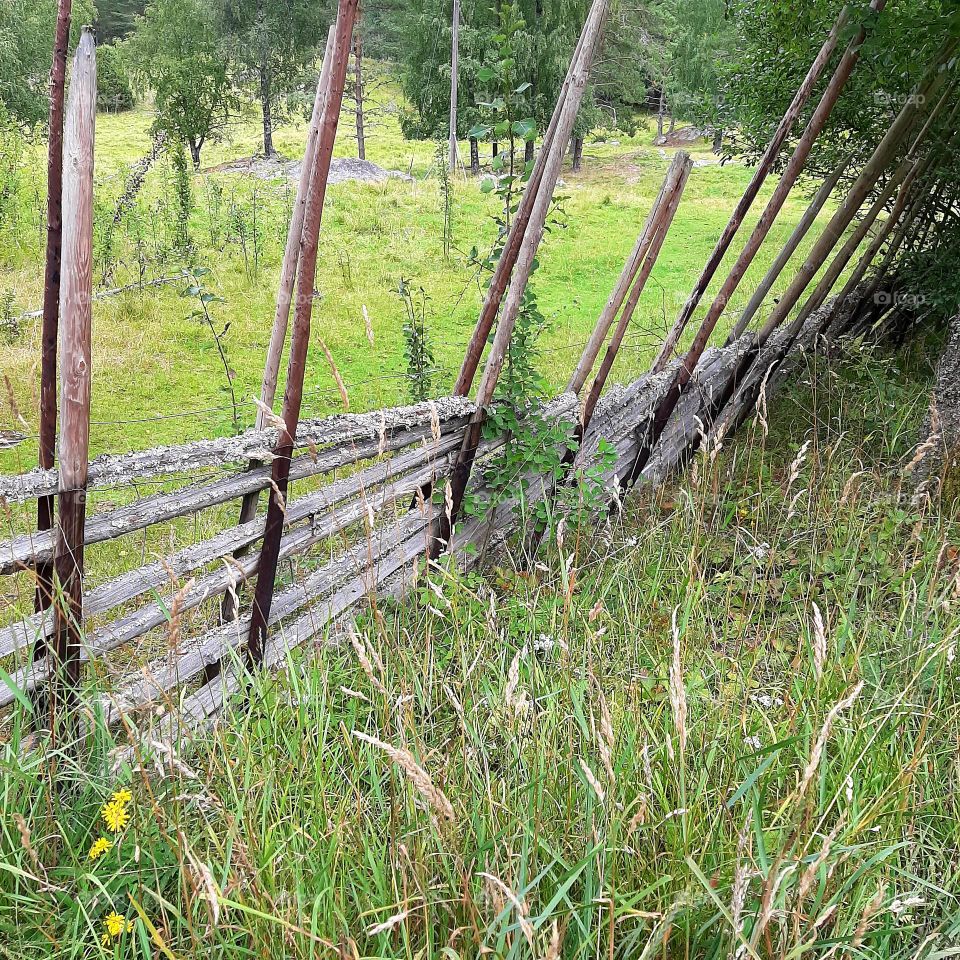 fence