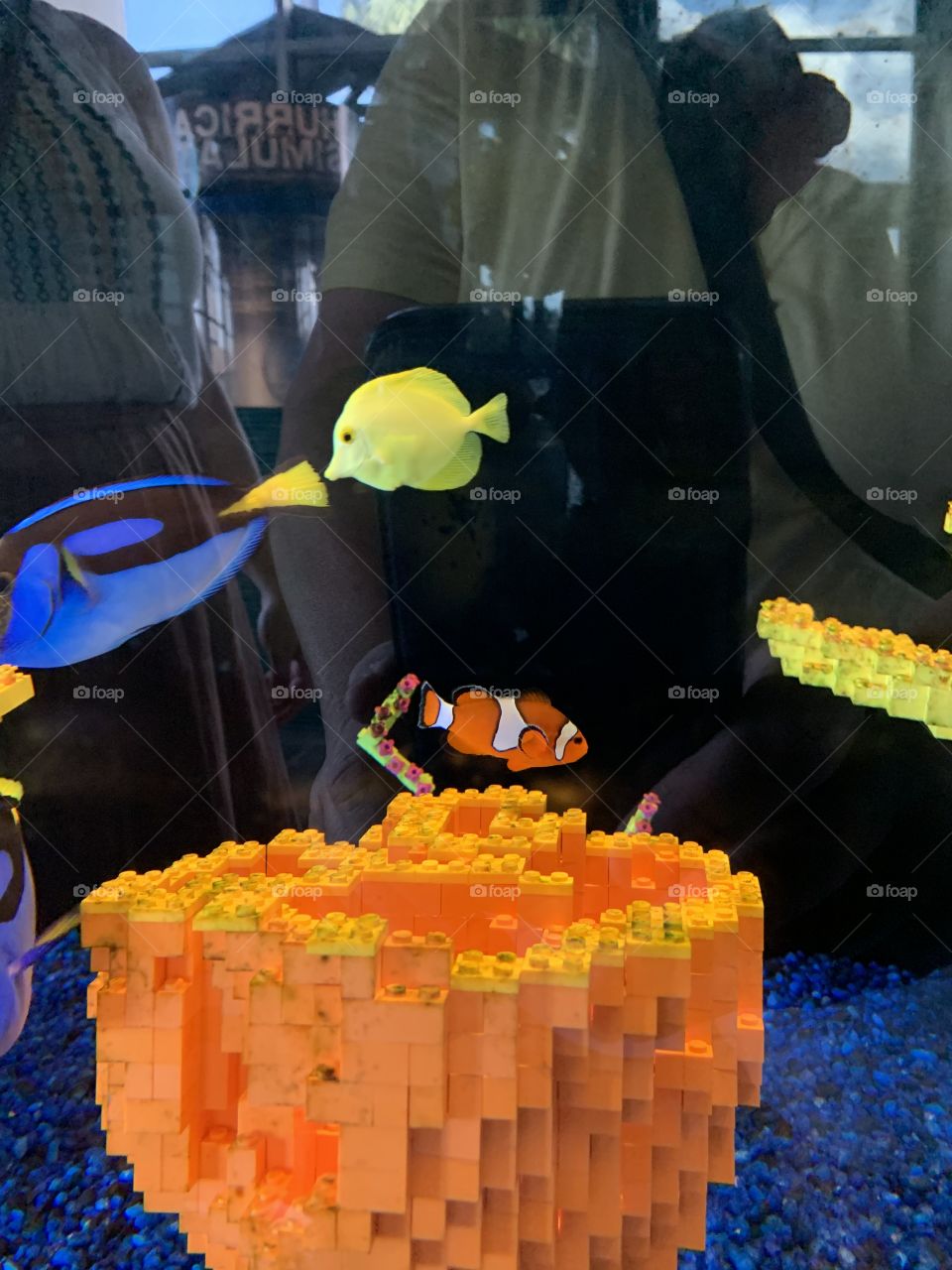 I found Nemo