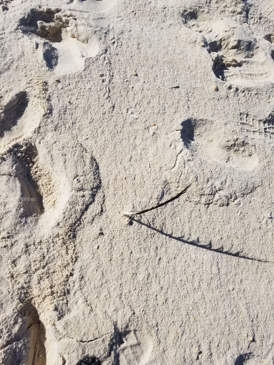 A pena na areia.