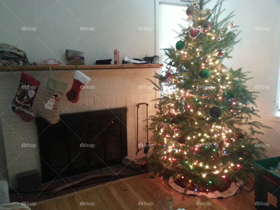 Christmas, Christmas Tree, Interior Design, Winter, Decoration
