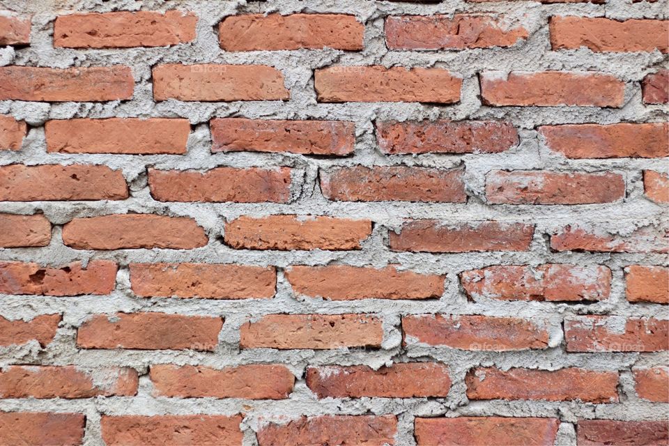Walls bricks 