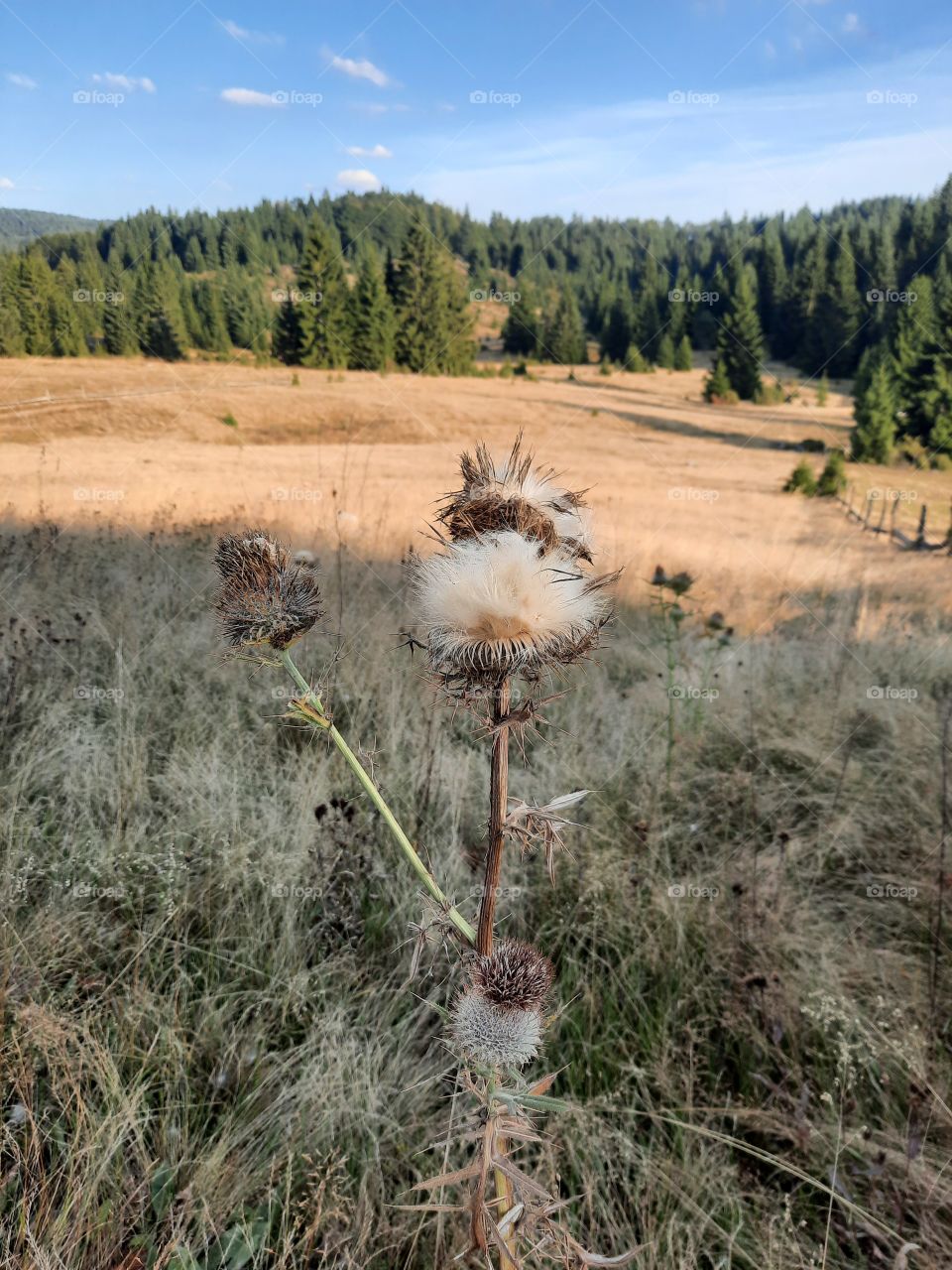 The first signs of autumn 🍂