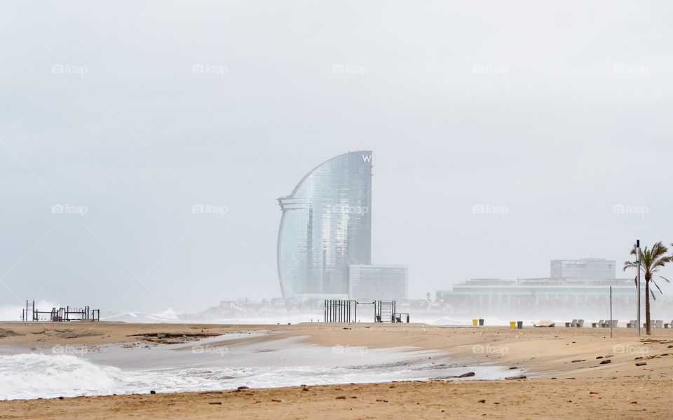 Froggy Morning in Barcelona Beach