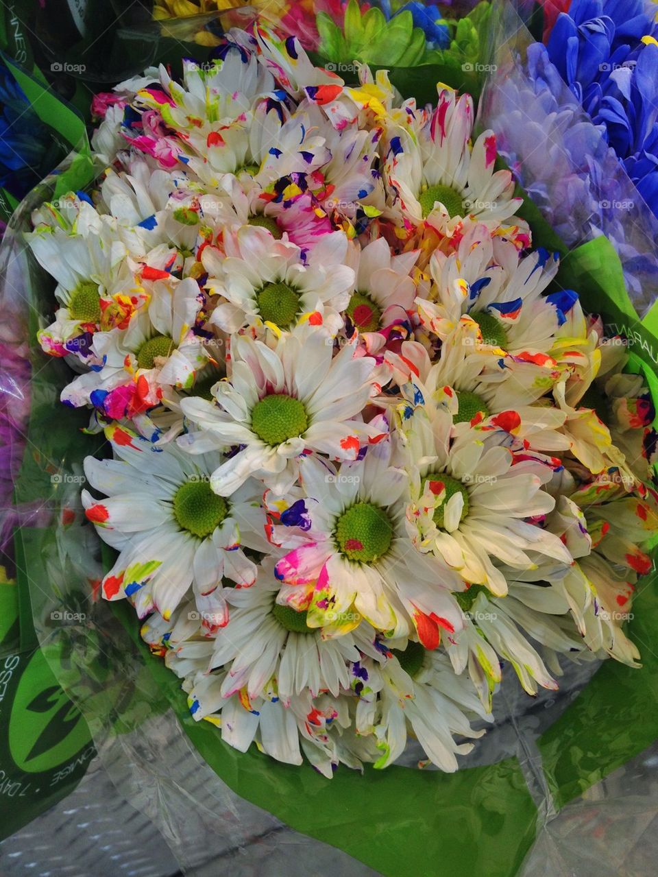 Rainbow flowers 