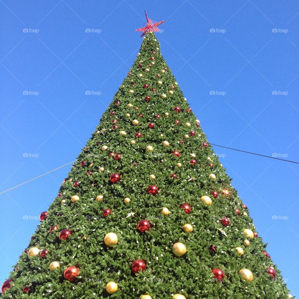 Christmas tree
