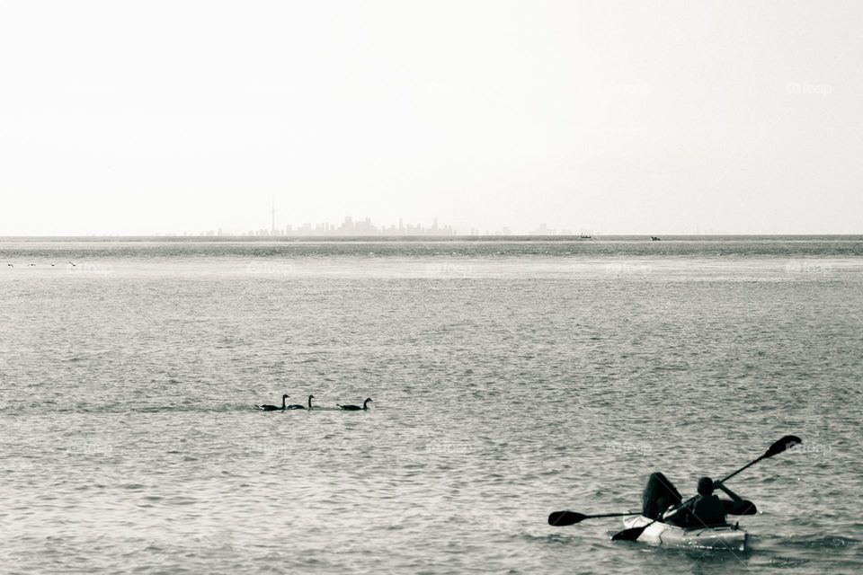 paddling to toronto, nature is beautiful