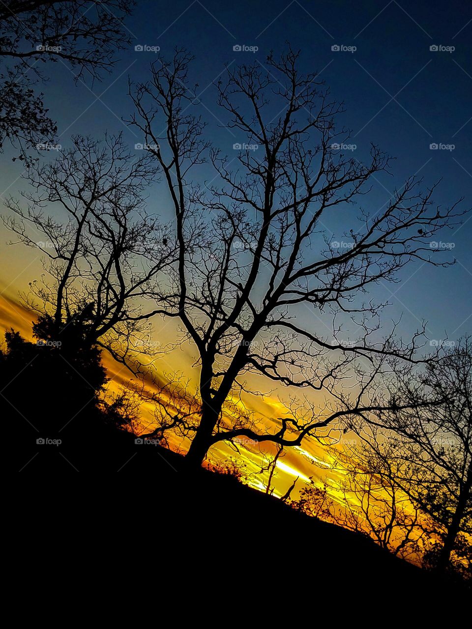 Sunset colored clouds