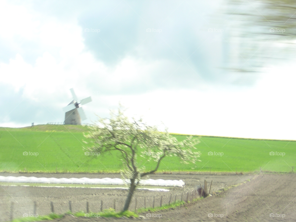 sky tree windmill by izabela.cib