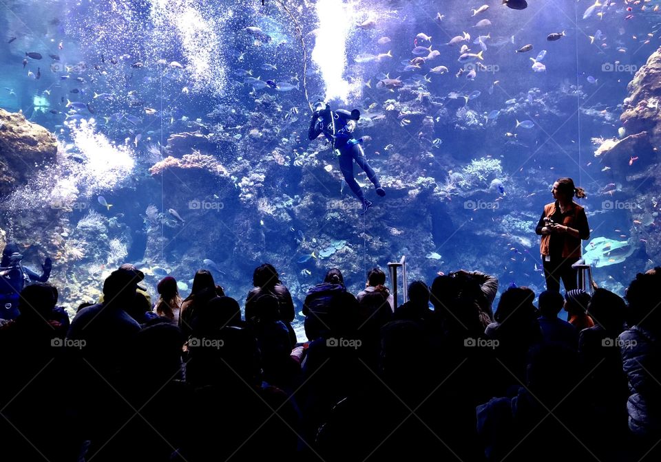 Scuba diver showing the coral reefs to the people