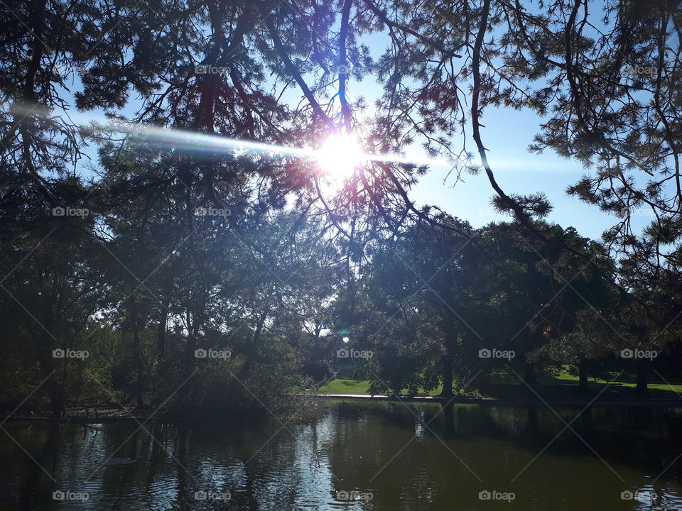 Sunrays Over Water