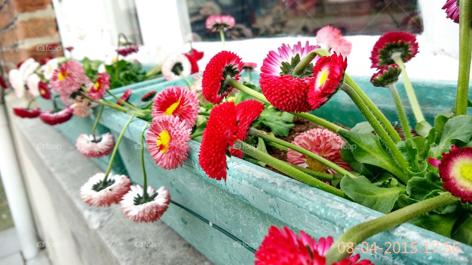 the beauty of nature . walking around and see the beauty in nature 