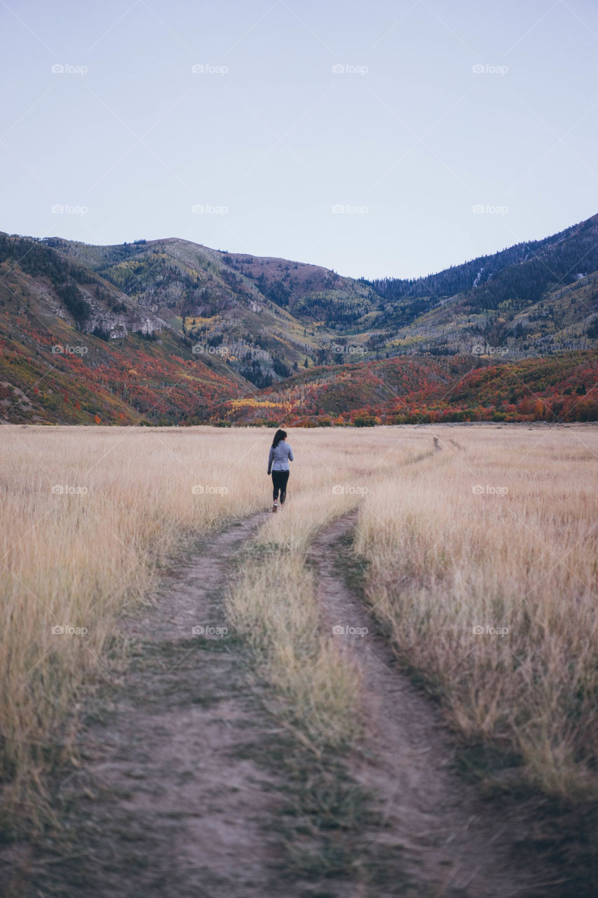 Fall walks 