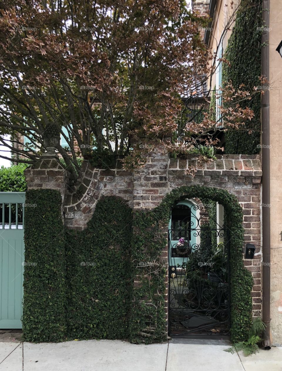 Architectural doors and iron gates