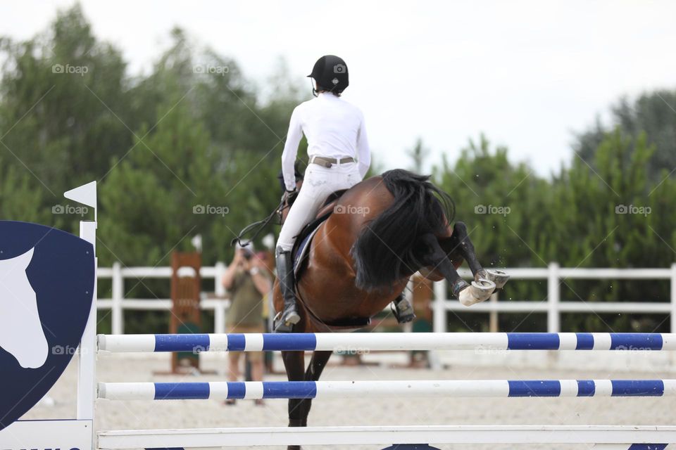 Horse and rider jumping on show jumping competition