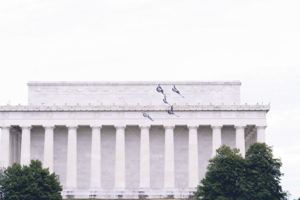 Jefferson Flock