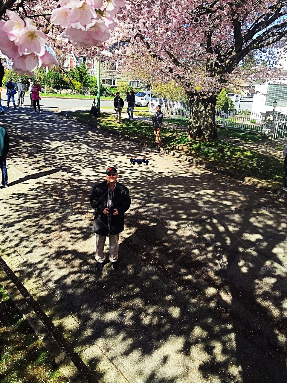 Tree, People, Flower, Garden, Park