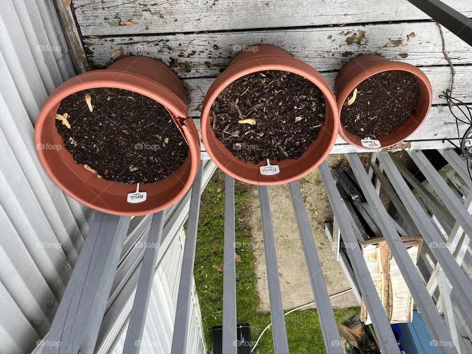 Rows of pots rows of rows