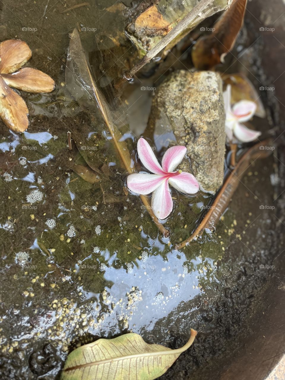 After a rainy day comes sunshine 