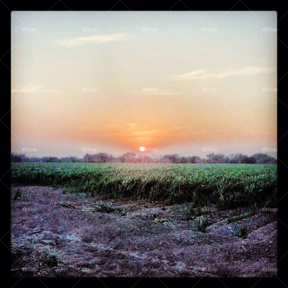 sunset mexico corn field ciudad gustavo díaz ordaz by alfonso_ivan