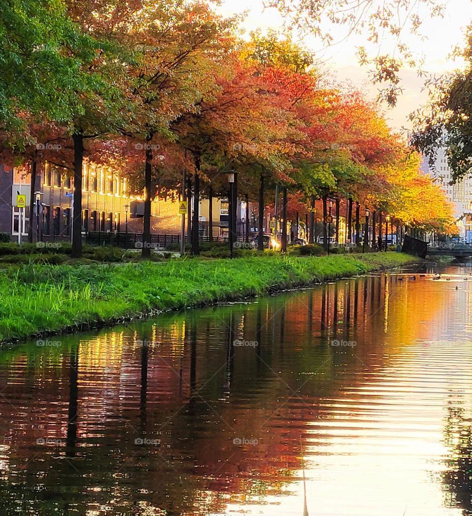 The street in Autumn colors