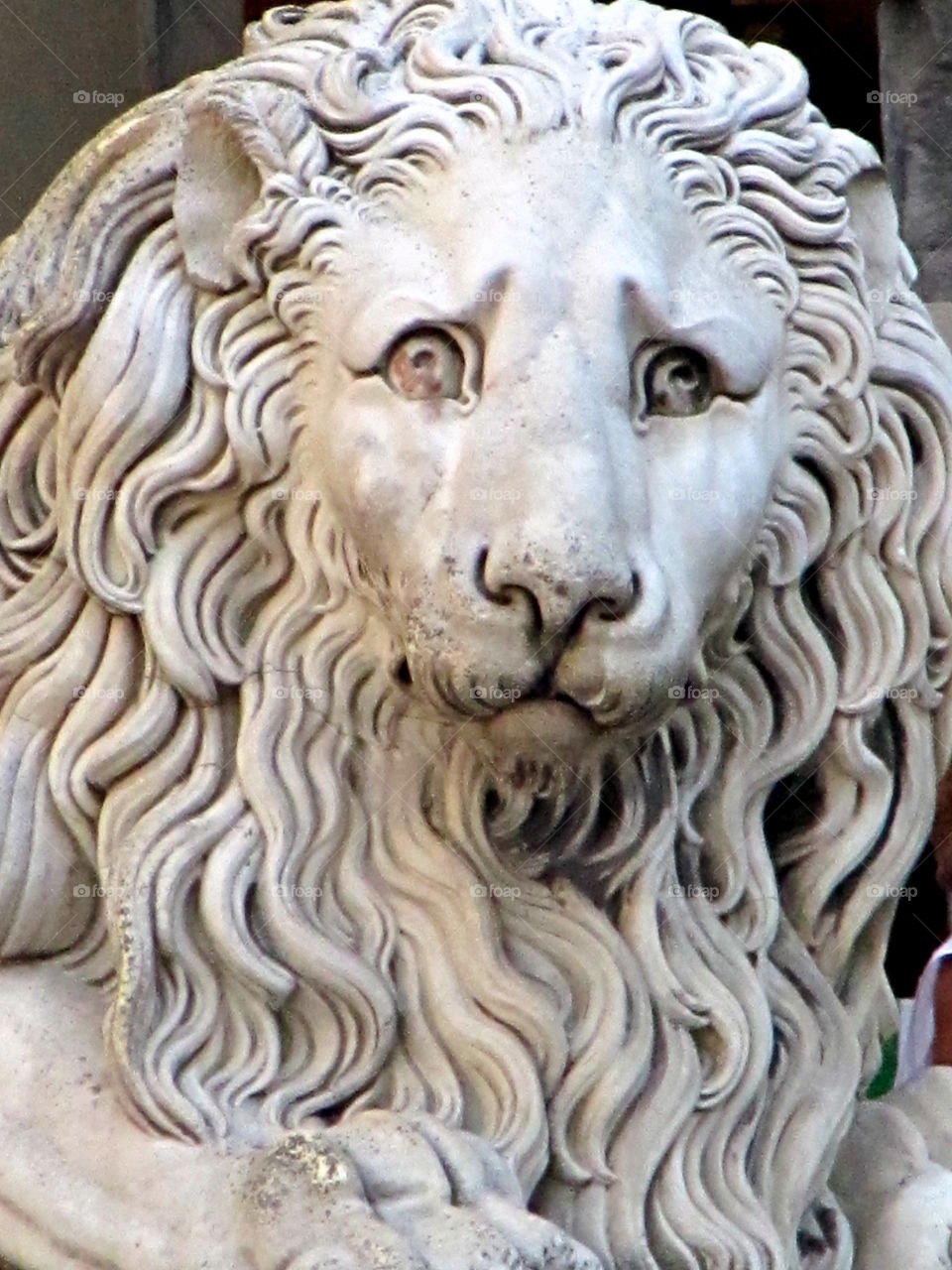 Lion face statue with an intense and  sad look