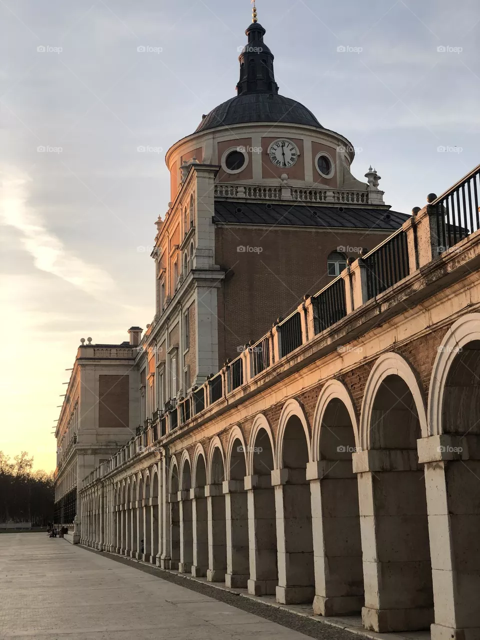 The palace 