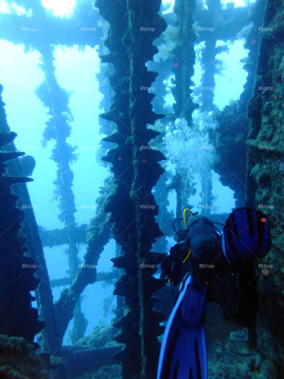 Red Sea wreck