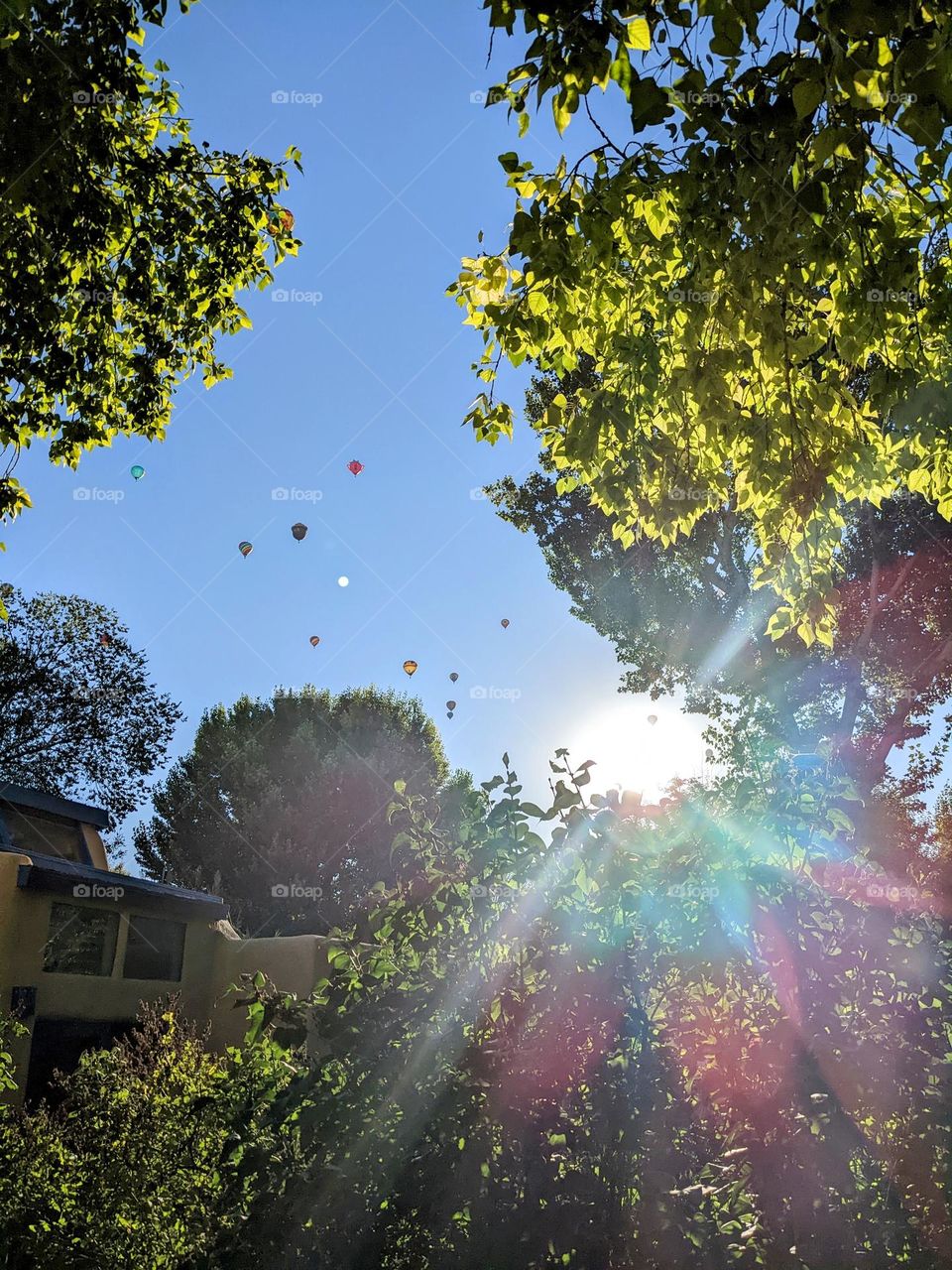 Morning Sun Balloon Flight