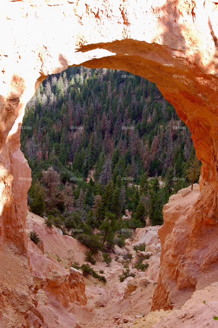 Weathered Arch