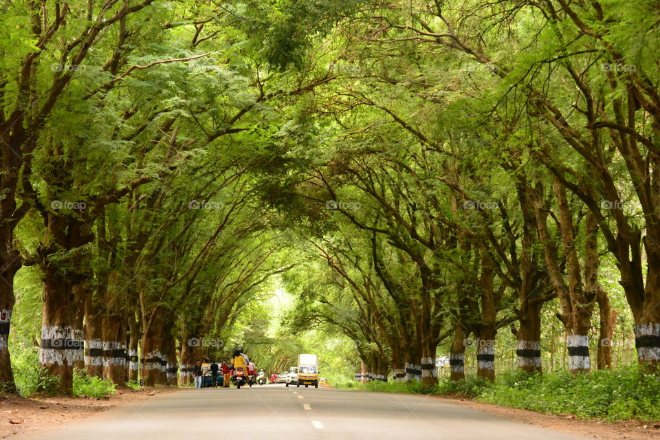 beautiful roads 