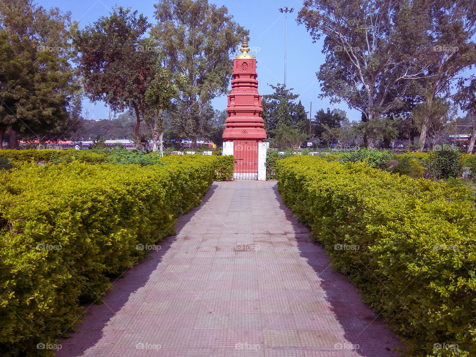 Pathway between cutting grass