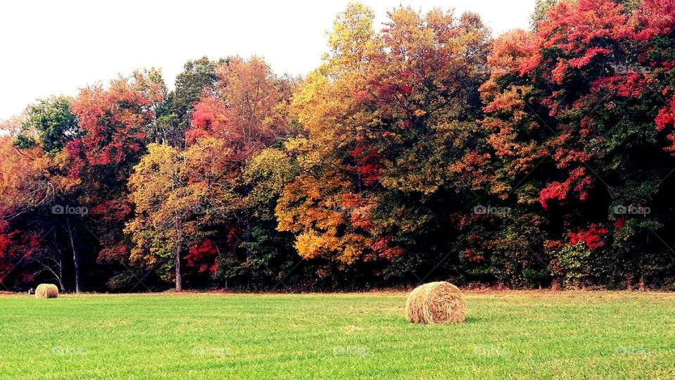 Autumn in North Carolina