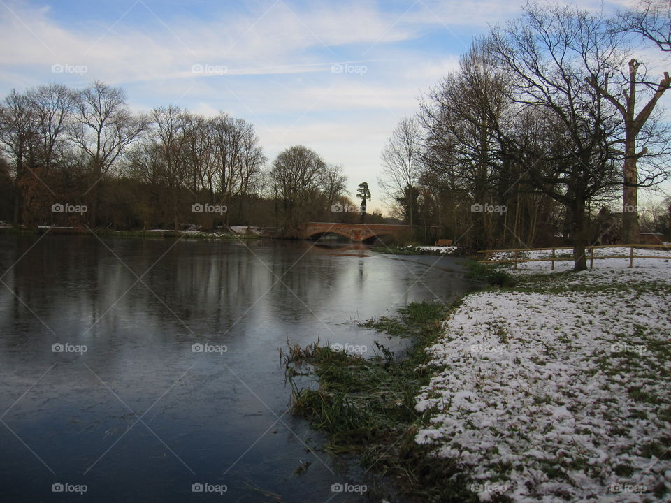 Tree, Landscape, Water, Flood, No Person