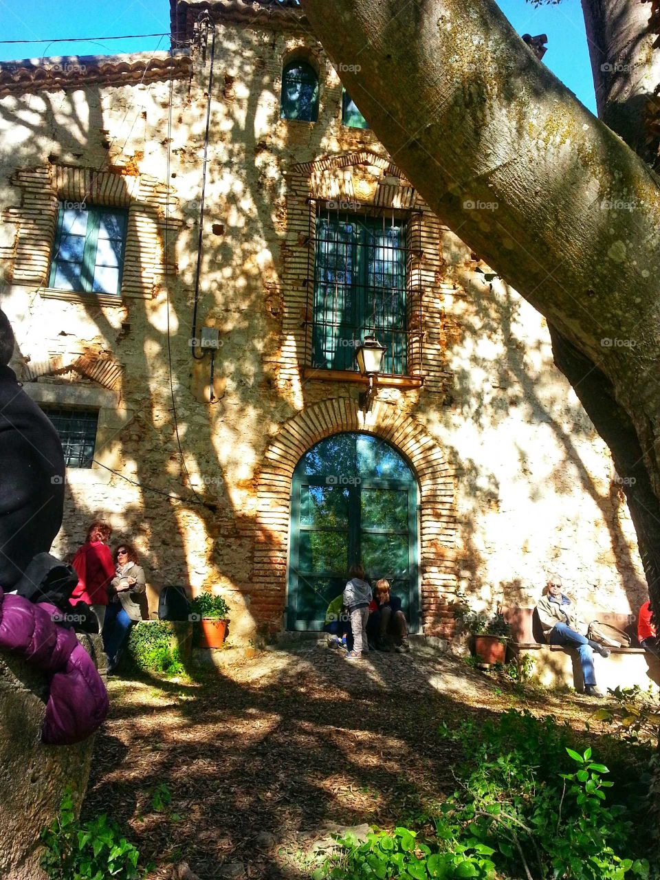 The farmhouse in the shade of the big tree