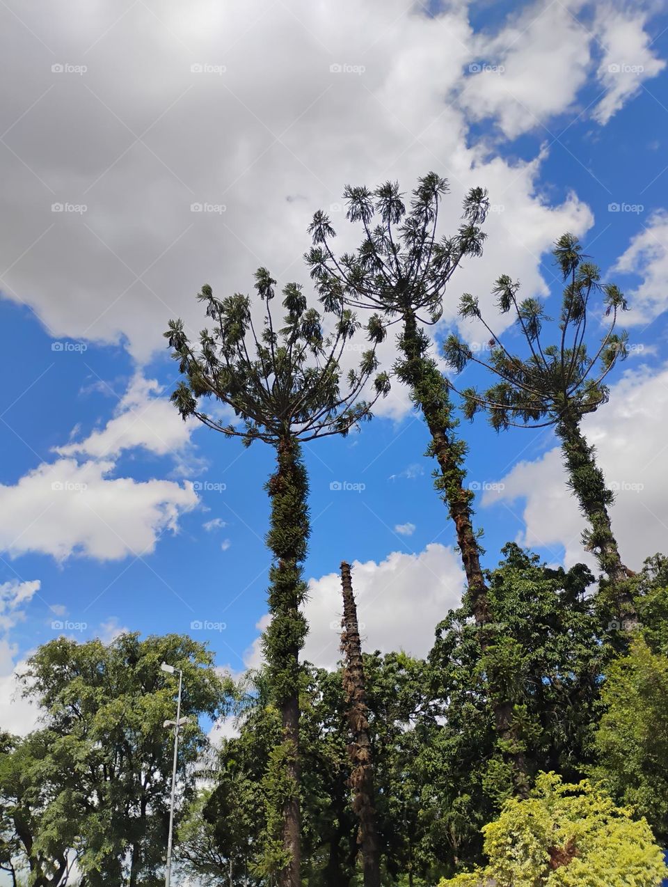 As cores de inverno, podem transmitir uma sensação de elegância e conforto. As cores frias compreendem o azul, o verde e o violeta. Segundo a temperatura das cores, essas matizes estão relacionadas ao gelo, ao mar, ao vento e a  natureza