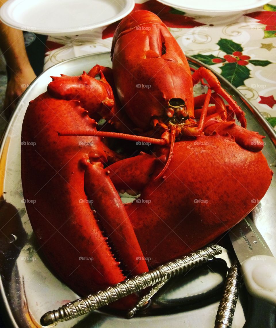 Orange-red lobster 