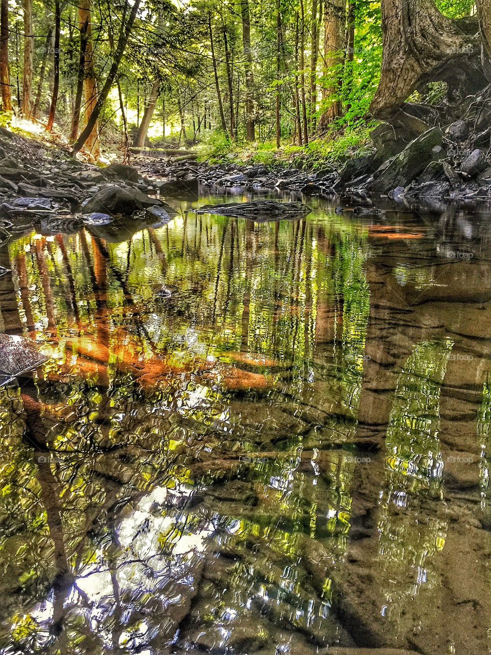 A rippling natural pond. A stream turned into a small pond