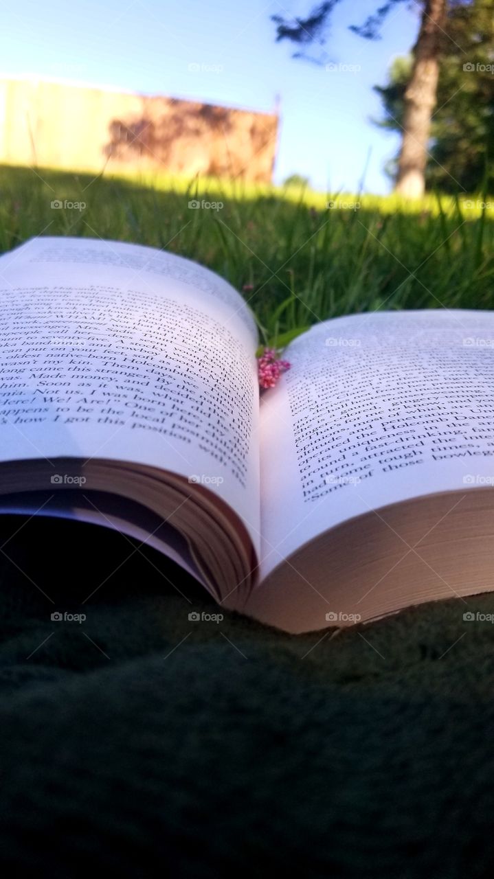 Two natural beauties in one picture. The beauty of reading and knowledge, and the beauty of nature.