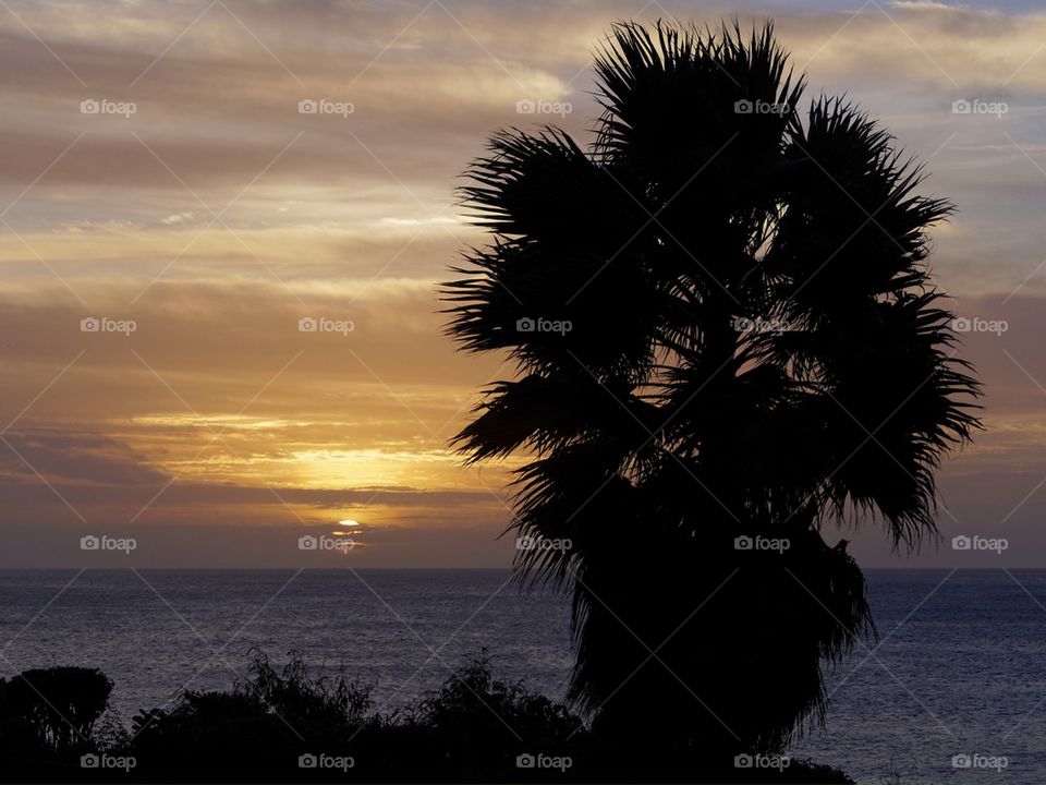 Windmill Sunset