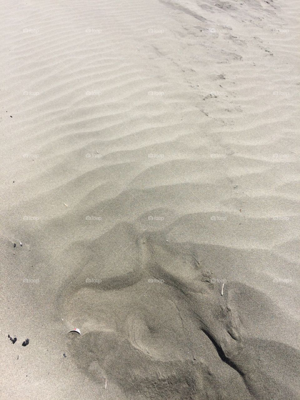 Sandy beach at the Pacific Ocean 