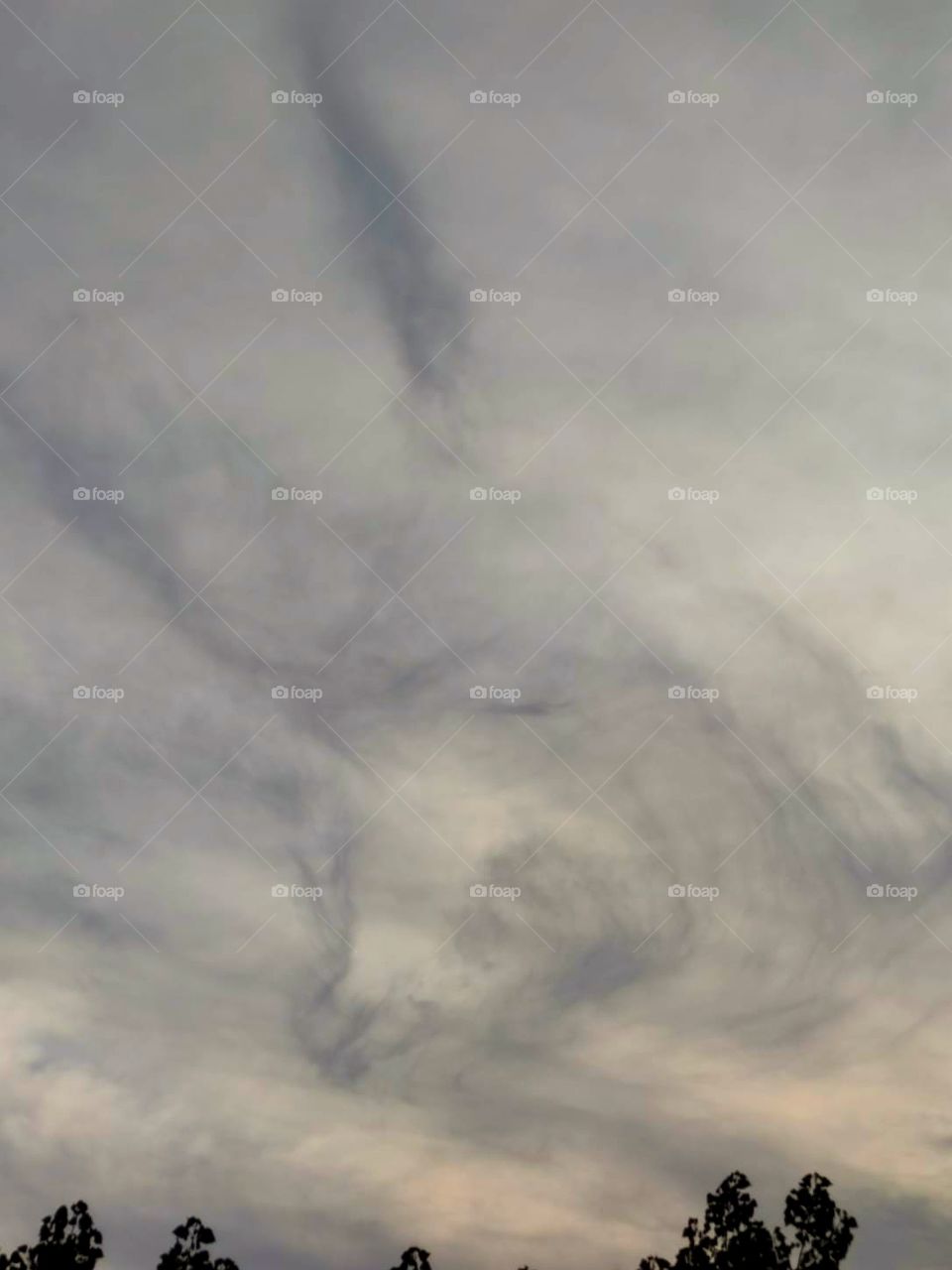 Nature draws.  Clouds like a donkey or a llama