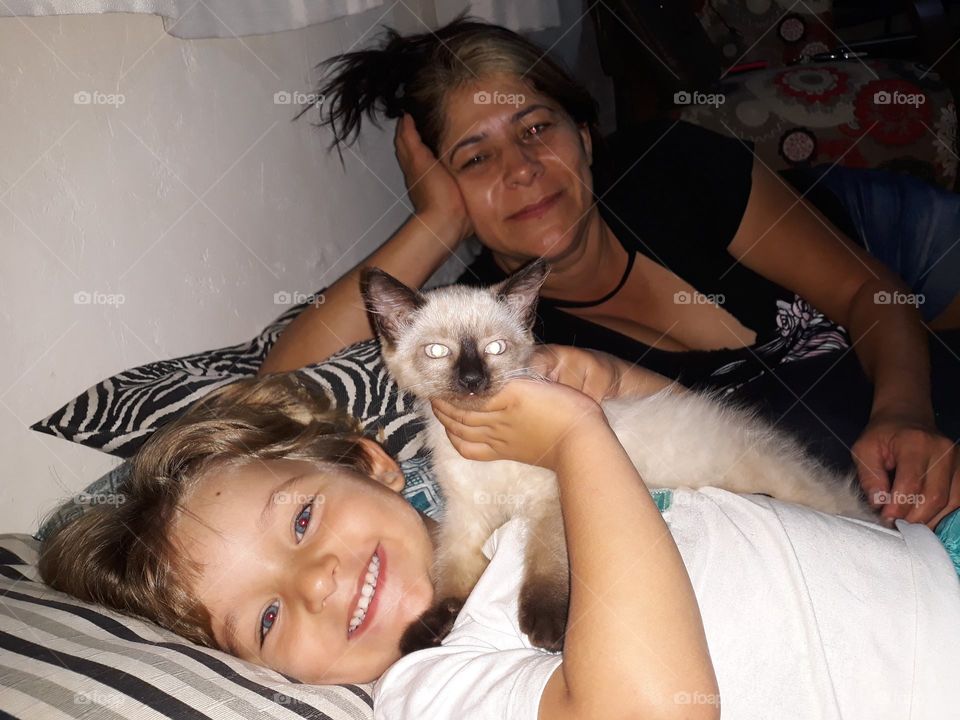 child and aunt playing with the kitten