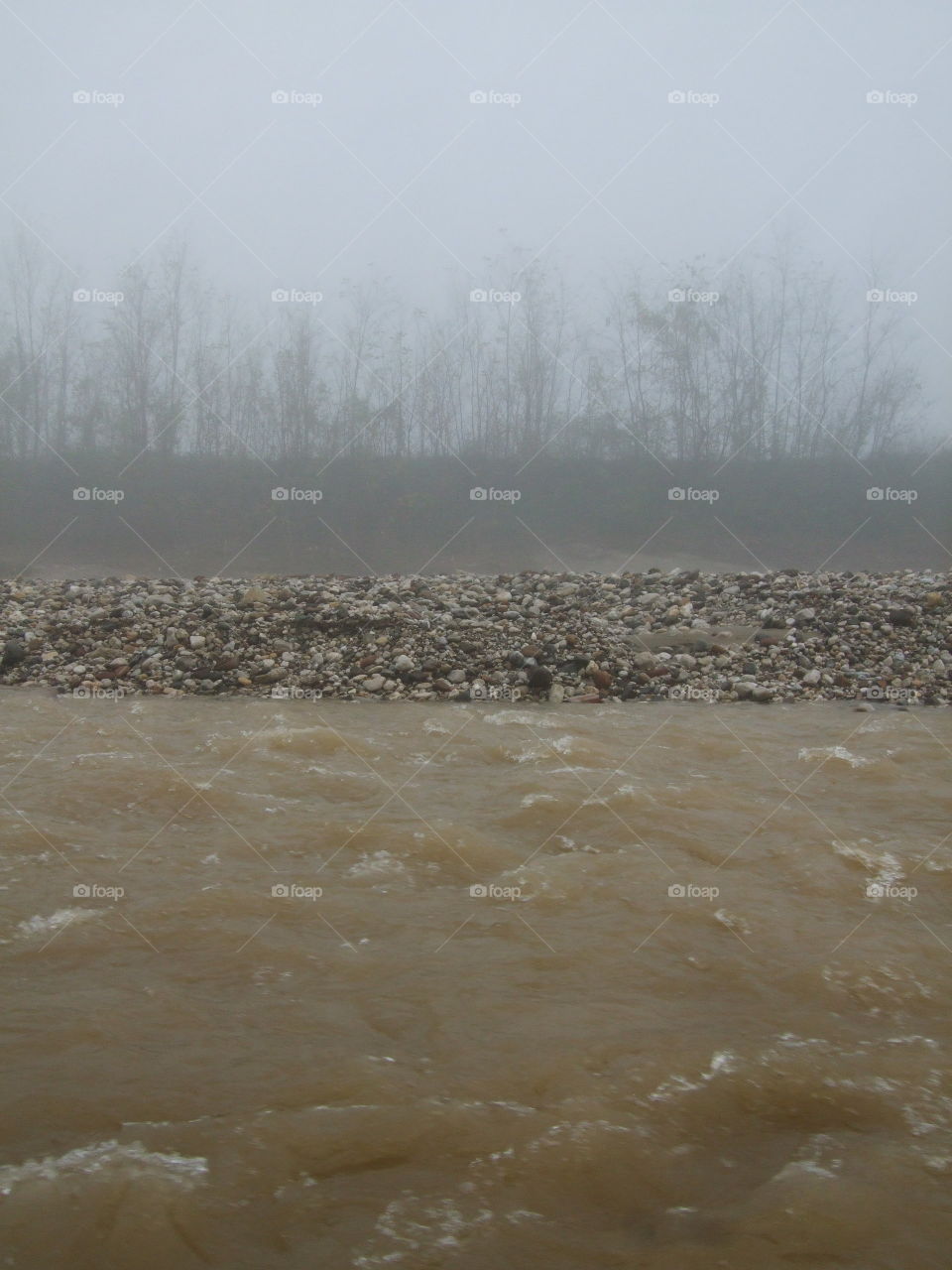 the creek after the flood