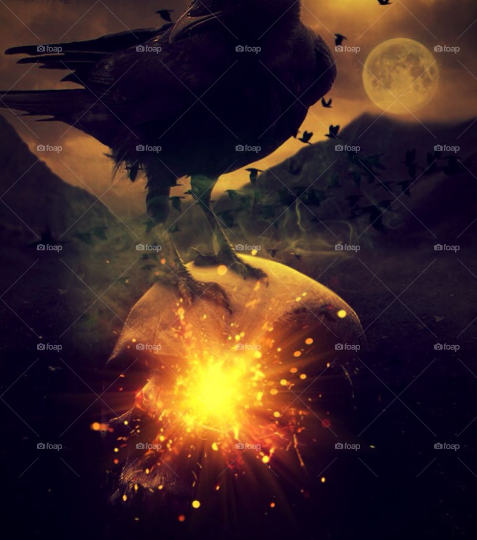 A Picture I Made Using A Stock Photo Of A Bird Standing On A Skull And Different Photo Apps.