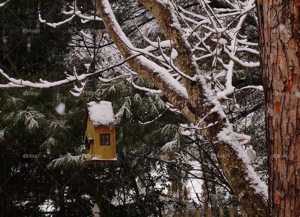 Birdhouse in the snow