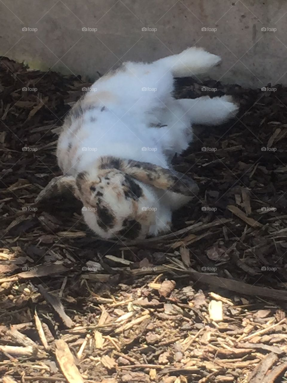 Rolling around on a hot day