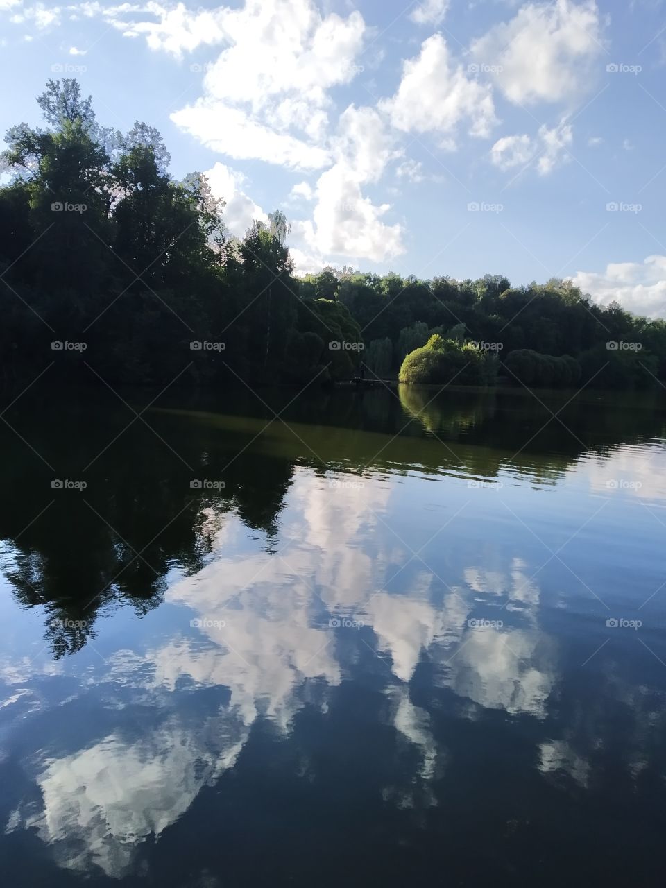 Reflection in water.