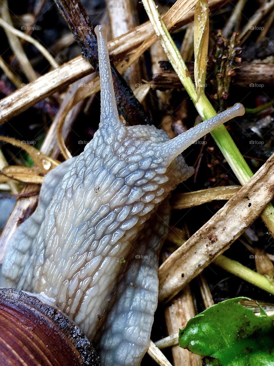 Captured with iPhone 6s Plus 